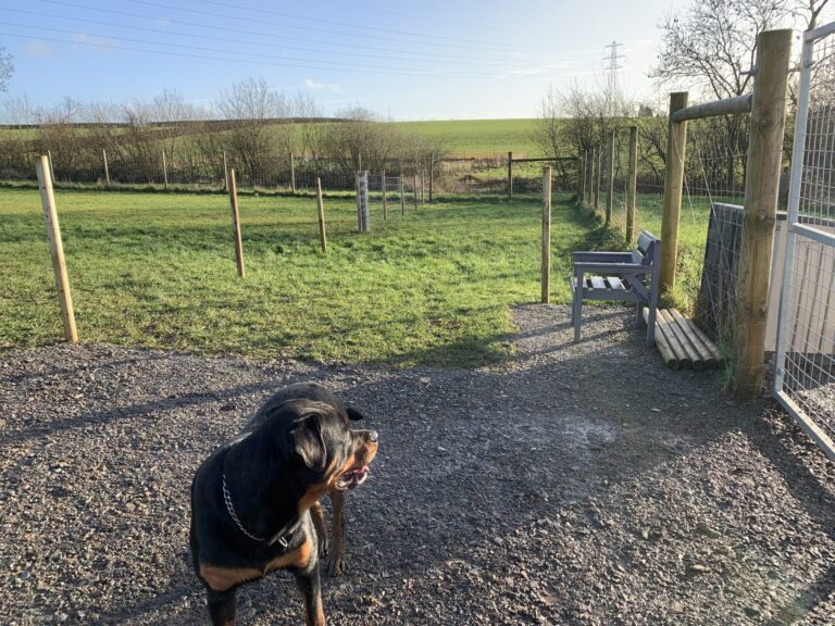 1780 b862882bccb2ad4c1d252fd8c0a73cd7 1 scaled 768x576