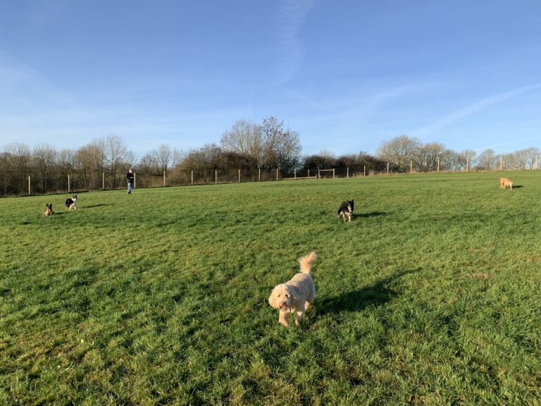 1780 f05624f89fd08f3ed4238e982ce9a280 1 768x576