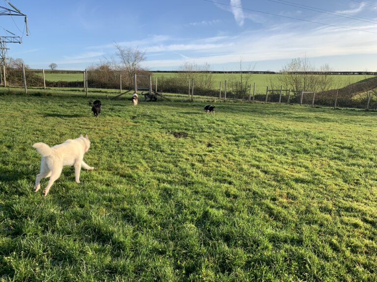 1780 f12602e3aeb884162588abc932f9c107 1 768x576