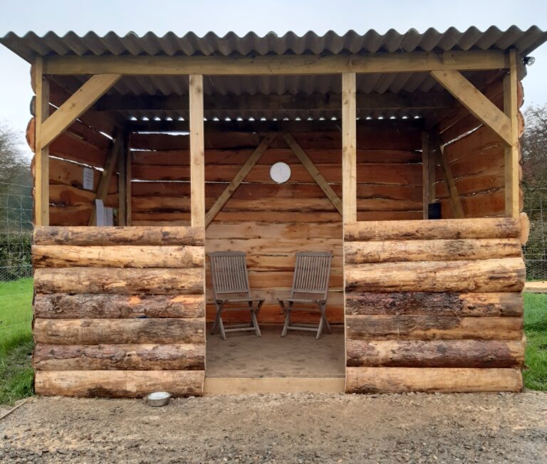 1784 1c3c3497fd0de6952f455bfdb4dfde8c 1 768x652