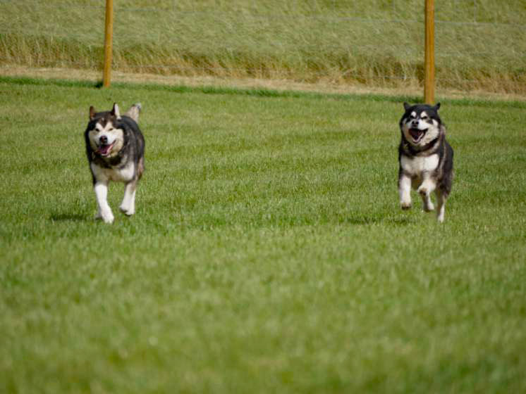 1784 4d0e86ff96b03a37569cc27de0f37760 1