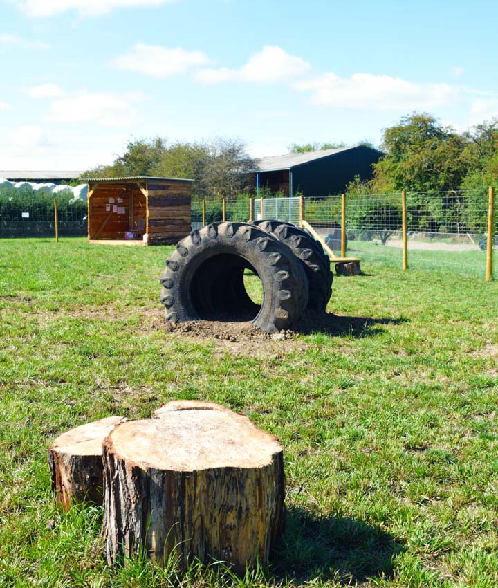 1784 6ef720d0d1229f0d47e2355ae6f9fcf4 1