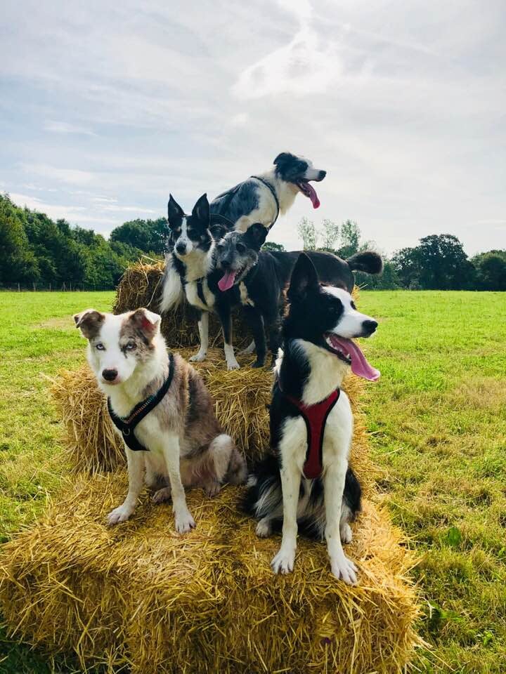 1785 0334063c9a45c8b76e7a8eee83143f7d 1