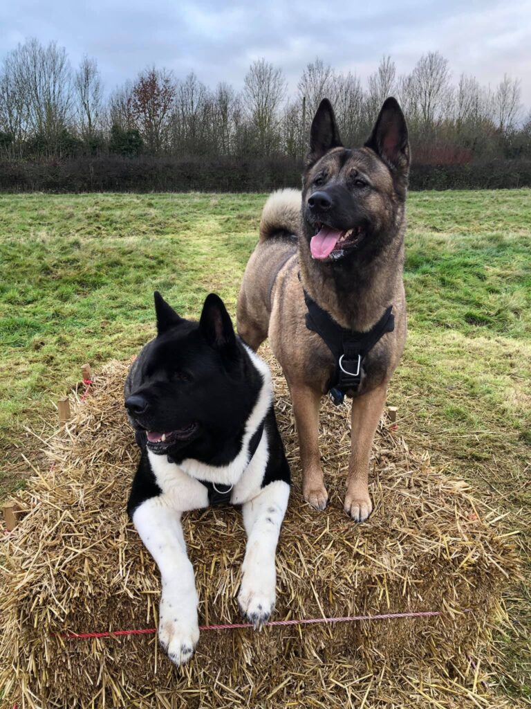 1785 08859acdbc6abfa9b51b97835d2547d0 1 768x1024