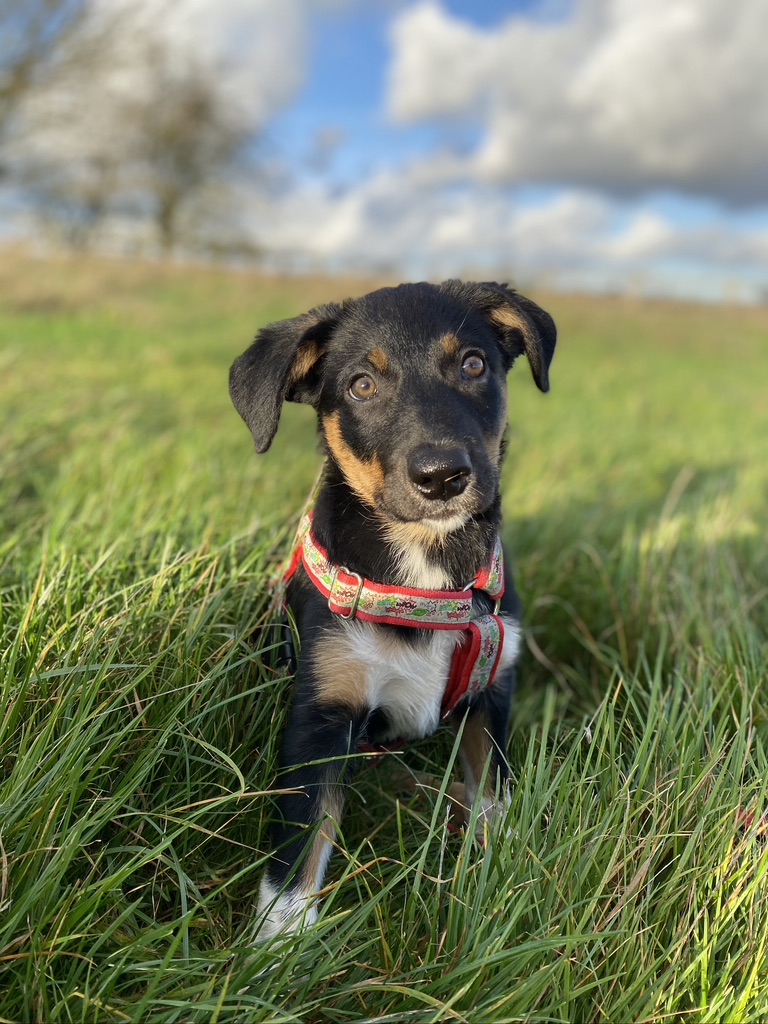 1785 0ff1a54e970609151585a616f735ee45 1