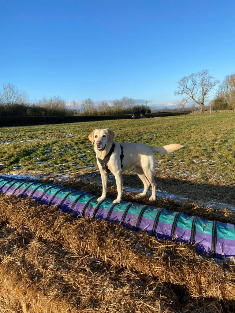 1785 3aa7b5b1172896cd4b27c8ab1916a5a2 1 768x1024