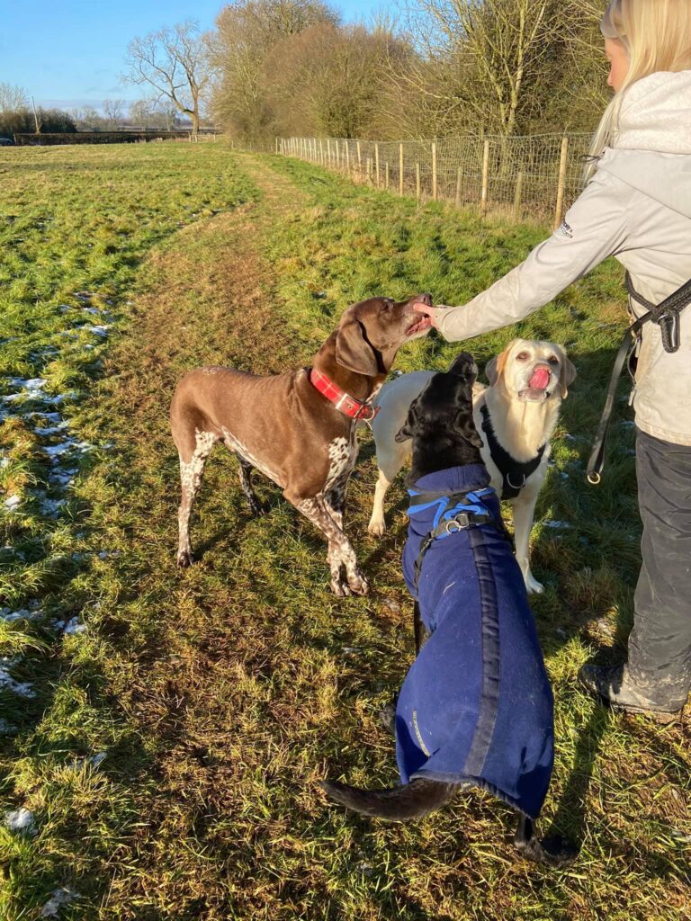 1785 445605f8c0534c6cfb971afc85f1f41c 1 768x1024