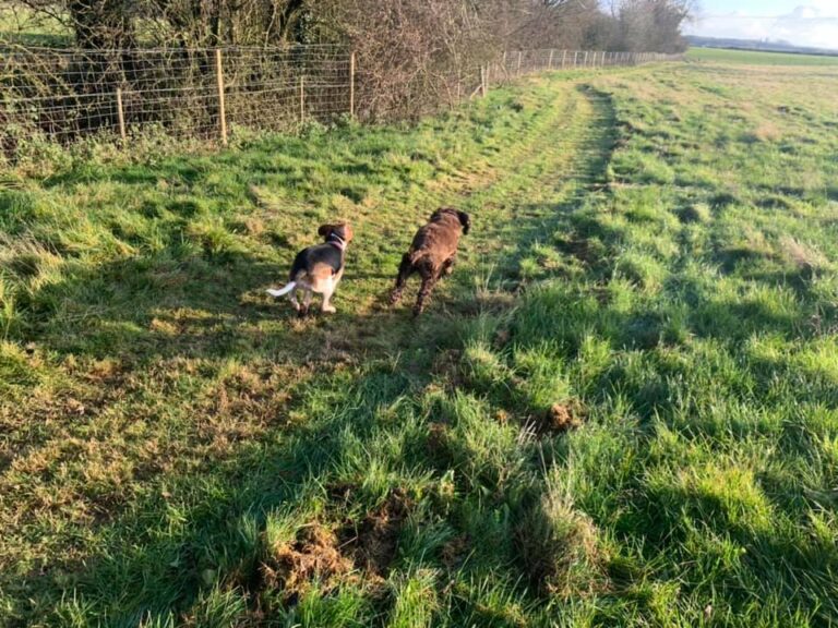 1785 957b65bcee8747ba143daea7395ff824 1 768x576