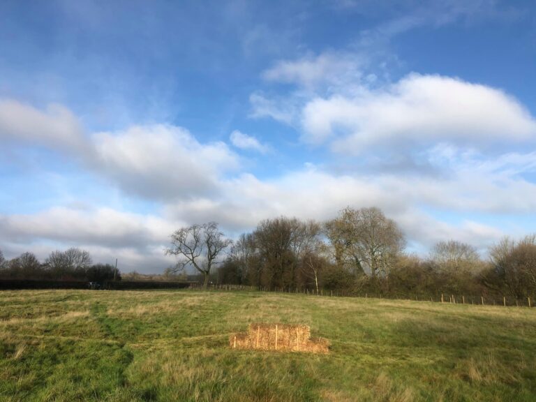 1785 9f295f49fafde0f535062fa63d14e2b0 1 768x576