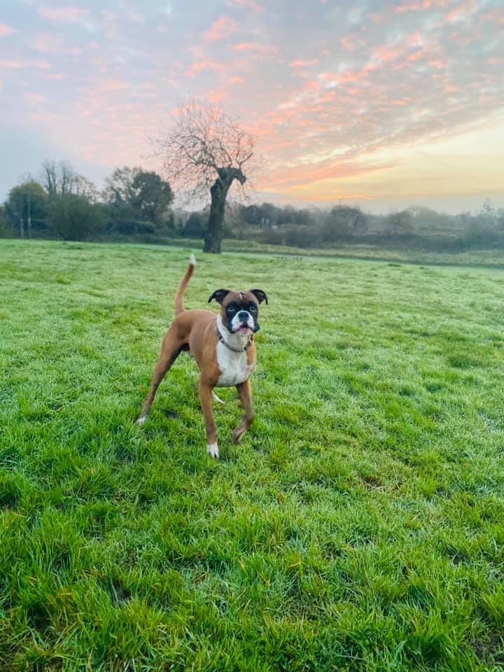 1788 b7482d5ece1b941b0a5b8b26b5226b62 1