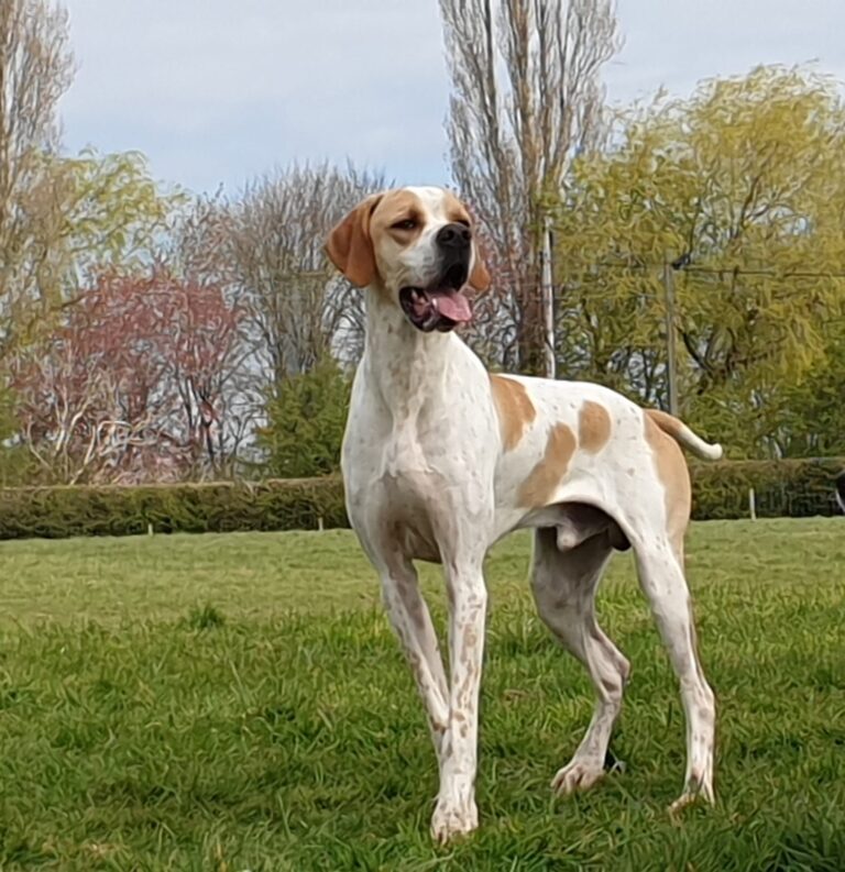 1788 bbf830e411185d51c64552533d6f7b76 1 768x793