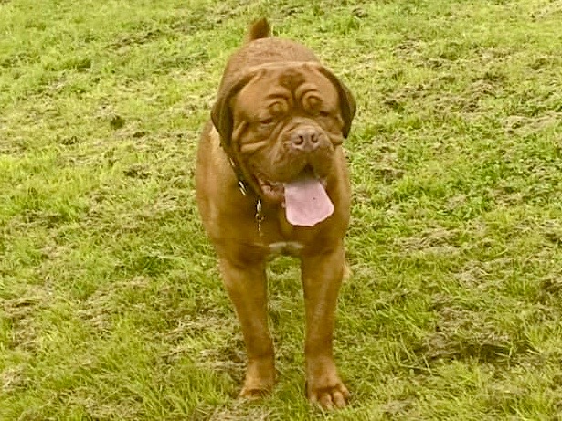 1788 eb296c771b7c9eb632abd2ee76fa9ef4 1