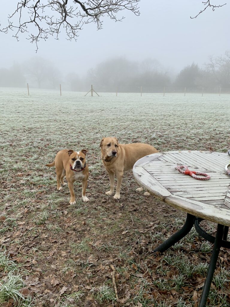 1791 26bbac49e6cc192f30dcfe560d20606a 1 768x1024