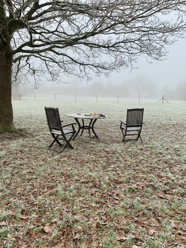 1791 84c548071d695506cf61a5bd192e2860 1 768x1024