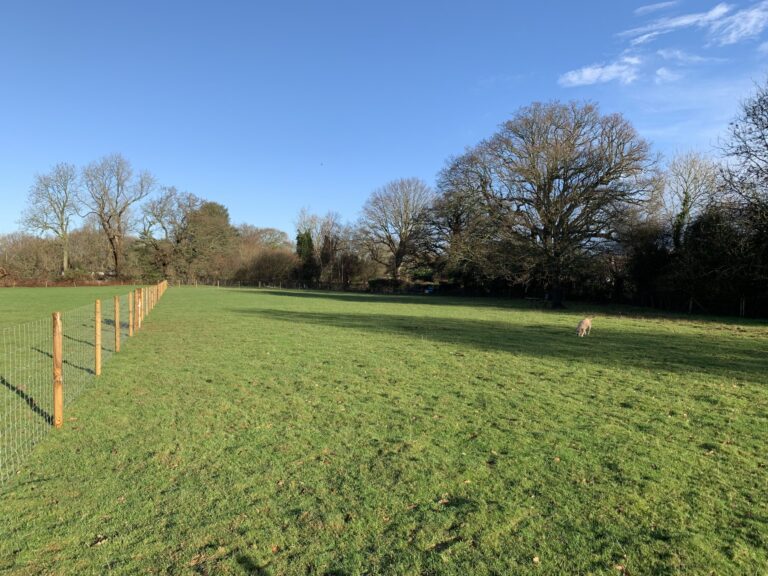 1791 cb49b8f5ad9b4c0eddd0a2dd6715a03e 1 scaled 768x576