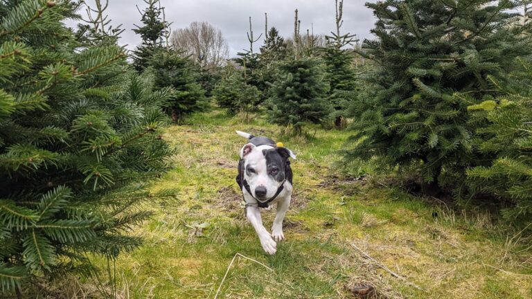 1793 15441cf368888b7c2e094c9b6c1a07f1 1 768x432