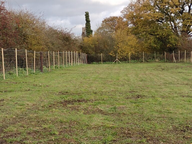 1793 1f44272350366529bcc7583958c25d3d 1 768x576