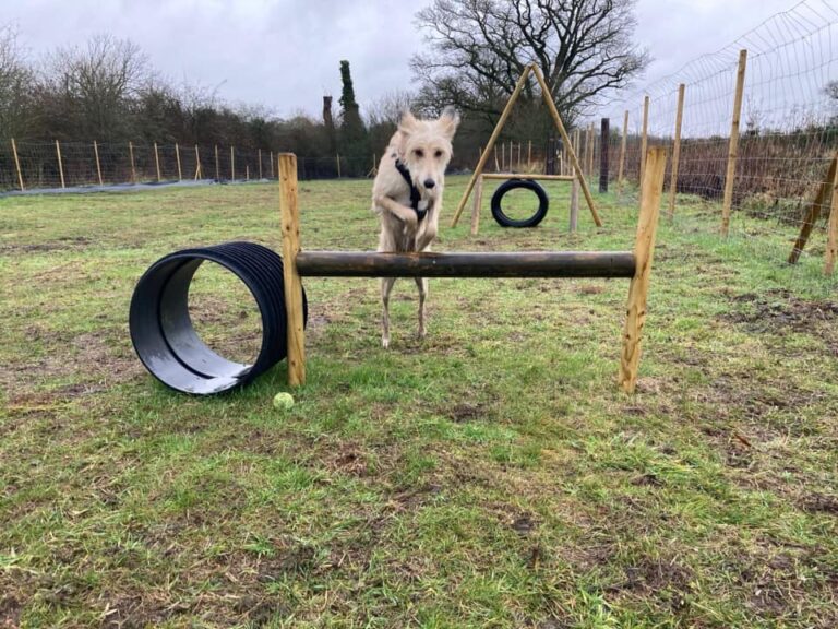 1793 280441812bac84d08435b441da767c4f 1 768x576