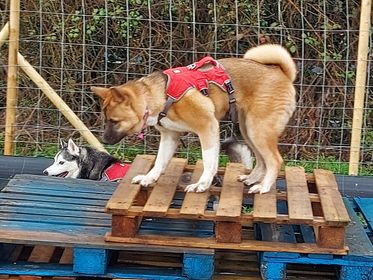 1793 2a5b9e319b092acf79b8d2a7fc3685ab 1