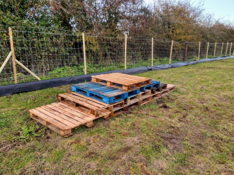 1793 33b8b6a66a038ee43dfbd6eae25cc059 1 768x576