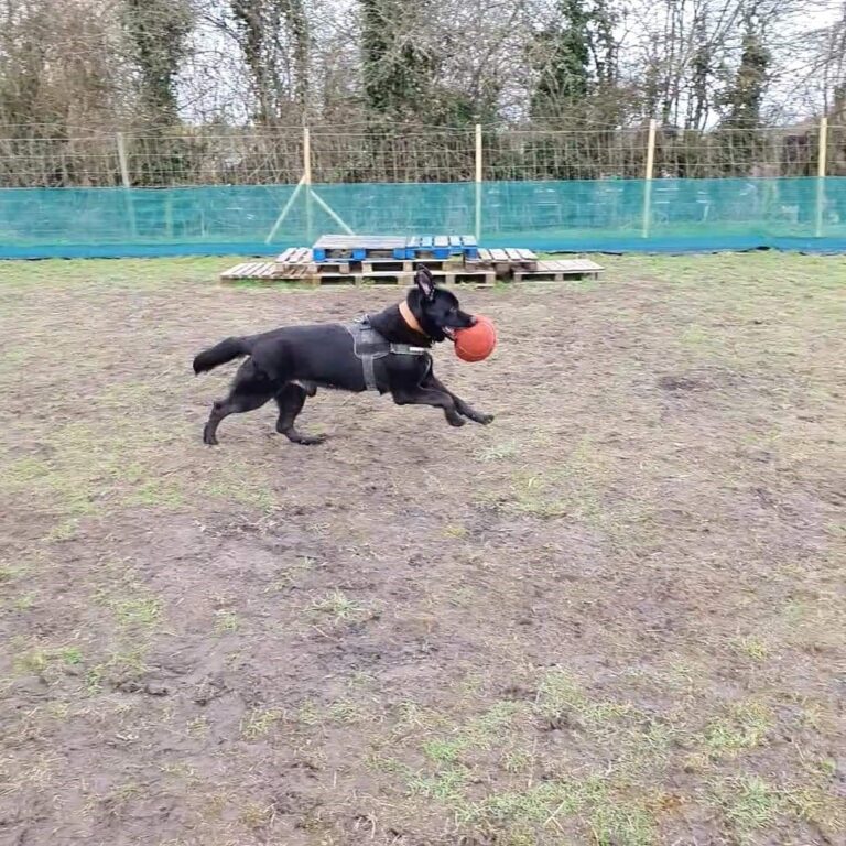 1793 3ebc2f7e57e7583e141a6ad88a1ddbfa 1 768x768