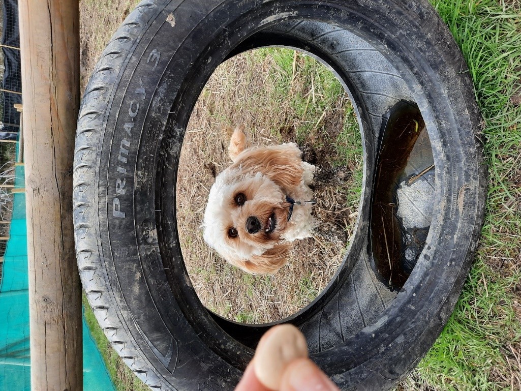 1793 536223c1428f67baf1c2cf2d21c8f0f3 1