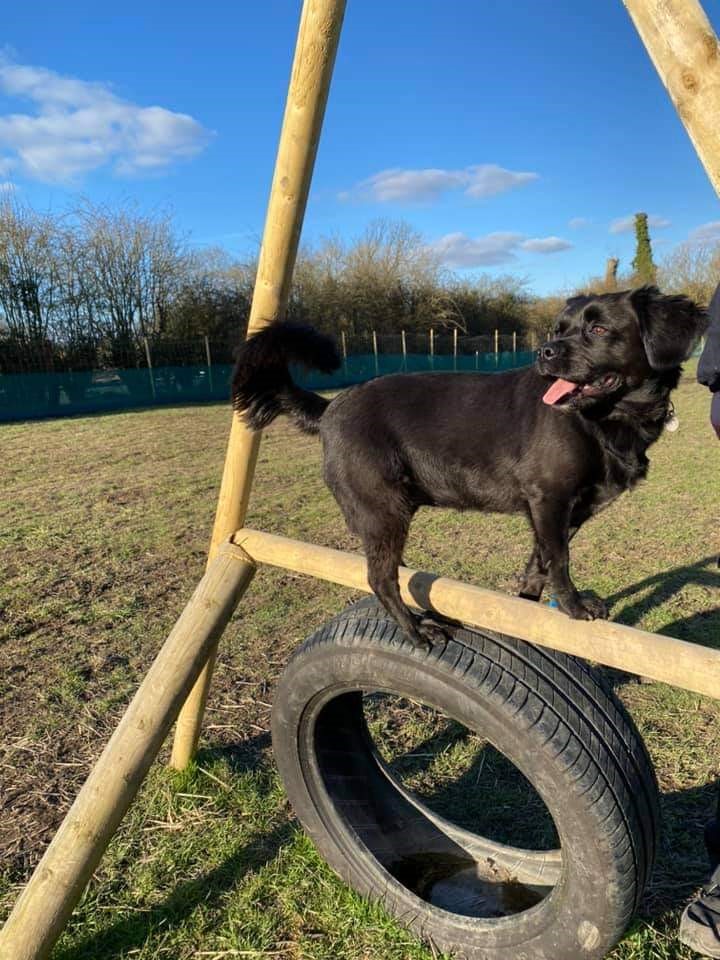 1793 8f3c02ac87fd35bb69356520a24a671e 1