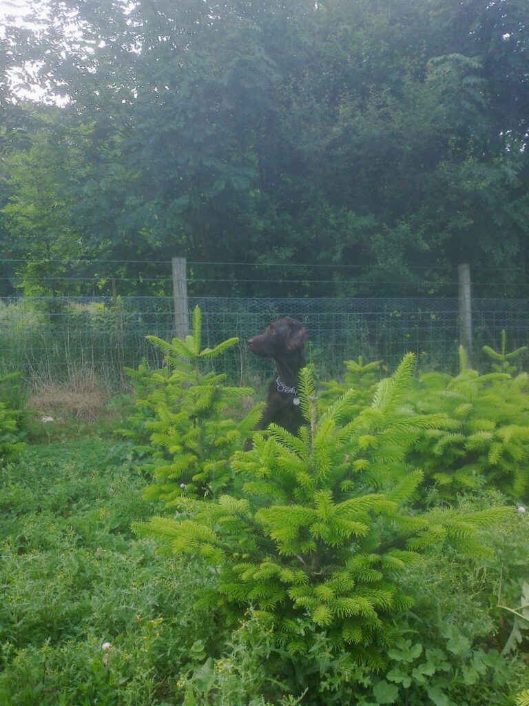 1793 a5d160c8443ff2873ab0c4ce76e1aa10 1 768x1024