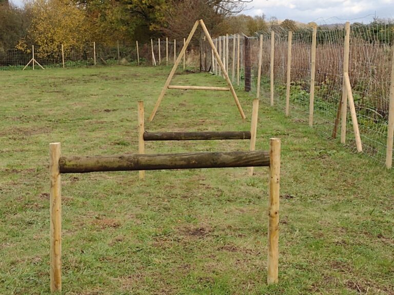 1793 aec35eafd963f5366079448f326f94fb 1 768x576