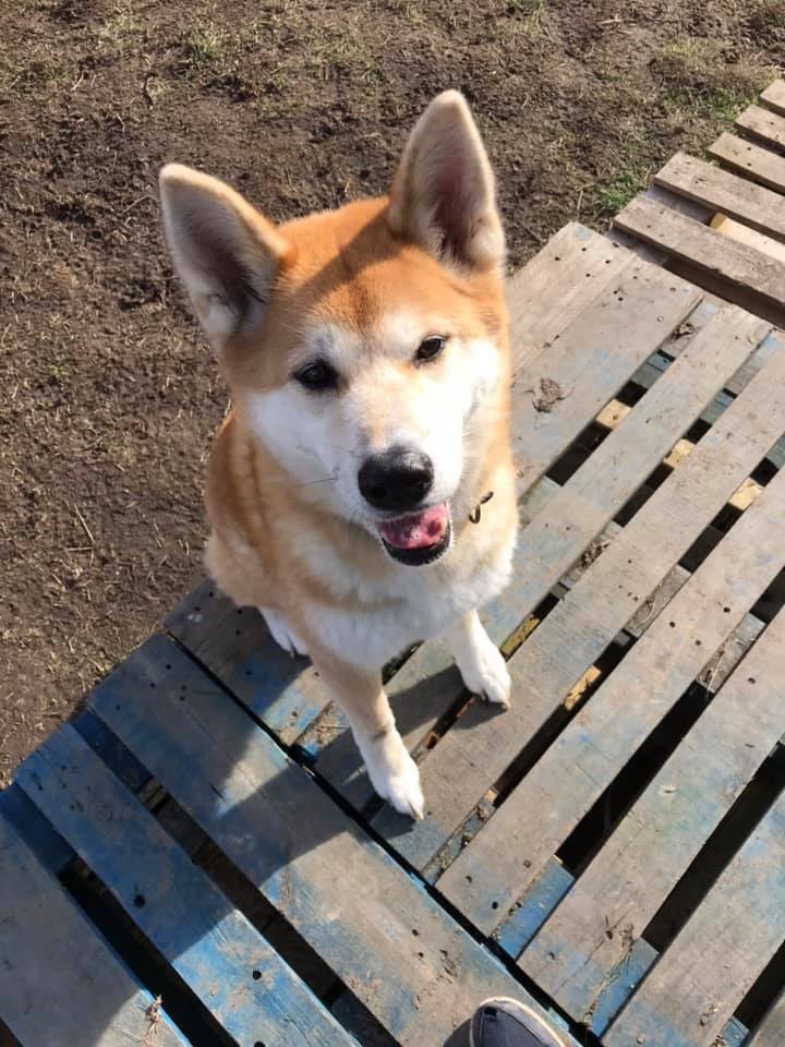 1793 b7816cf07ddc2d1f8a8465a9a19c99bf 1