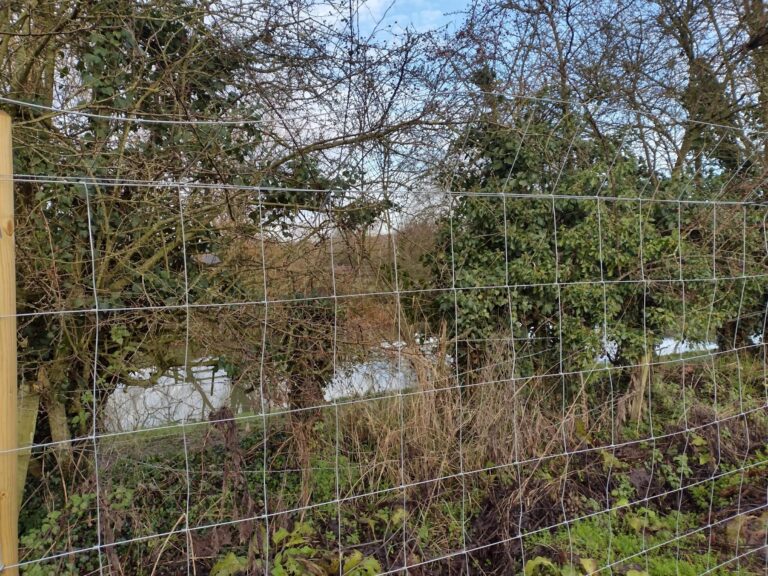 1793 c7160a371bdb7e6f35cc2938841f29eb 1 scaled 768x576