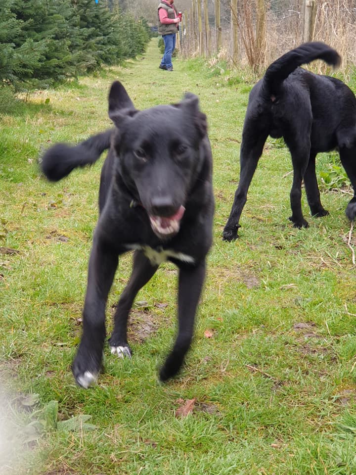 1793 d71189846a8705676b3df3e2feb0fecb 1