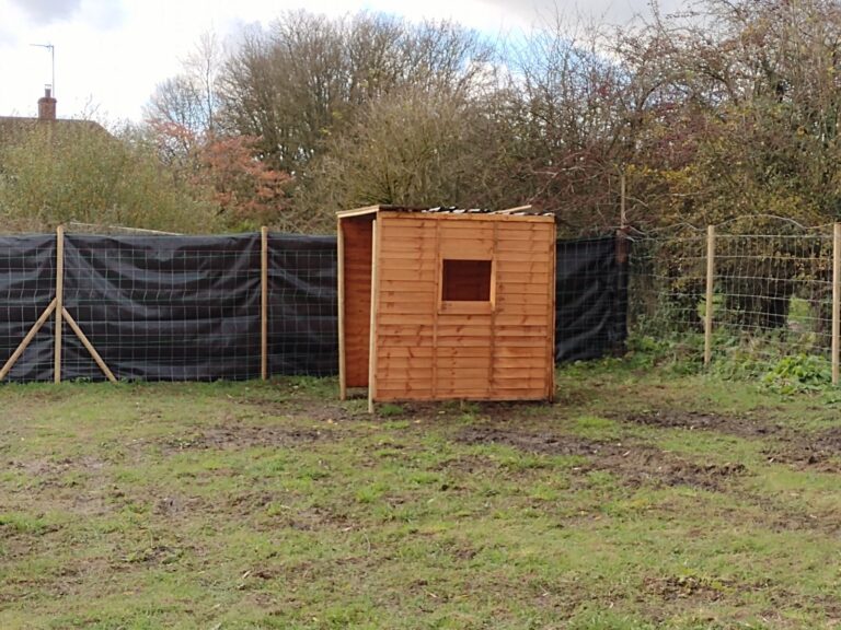 1793 ddfd95ae4802b3402491de8706a96715 1 768x576