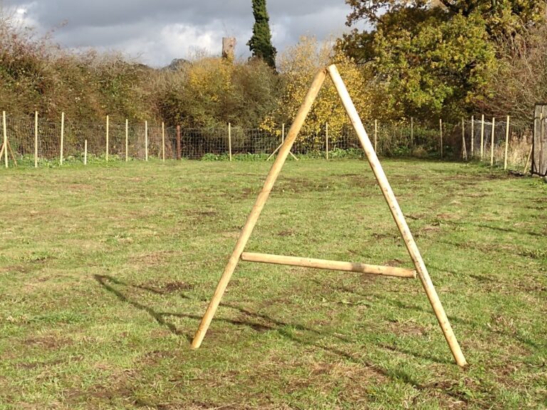 1793 f315ac5b9c299ba77a59c87dbf9390f7 1 768x576