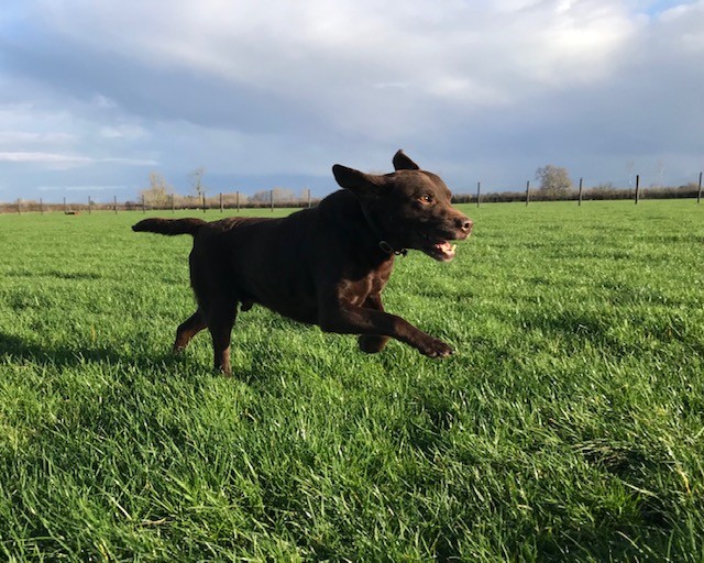 1795 2741b83eb2ff9e52e446751425bcf67f 1