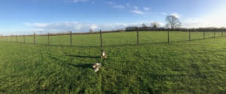 1795 50d6e6223729604ad3b9660748b0b14e 1