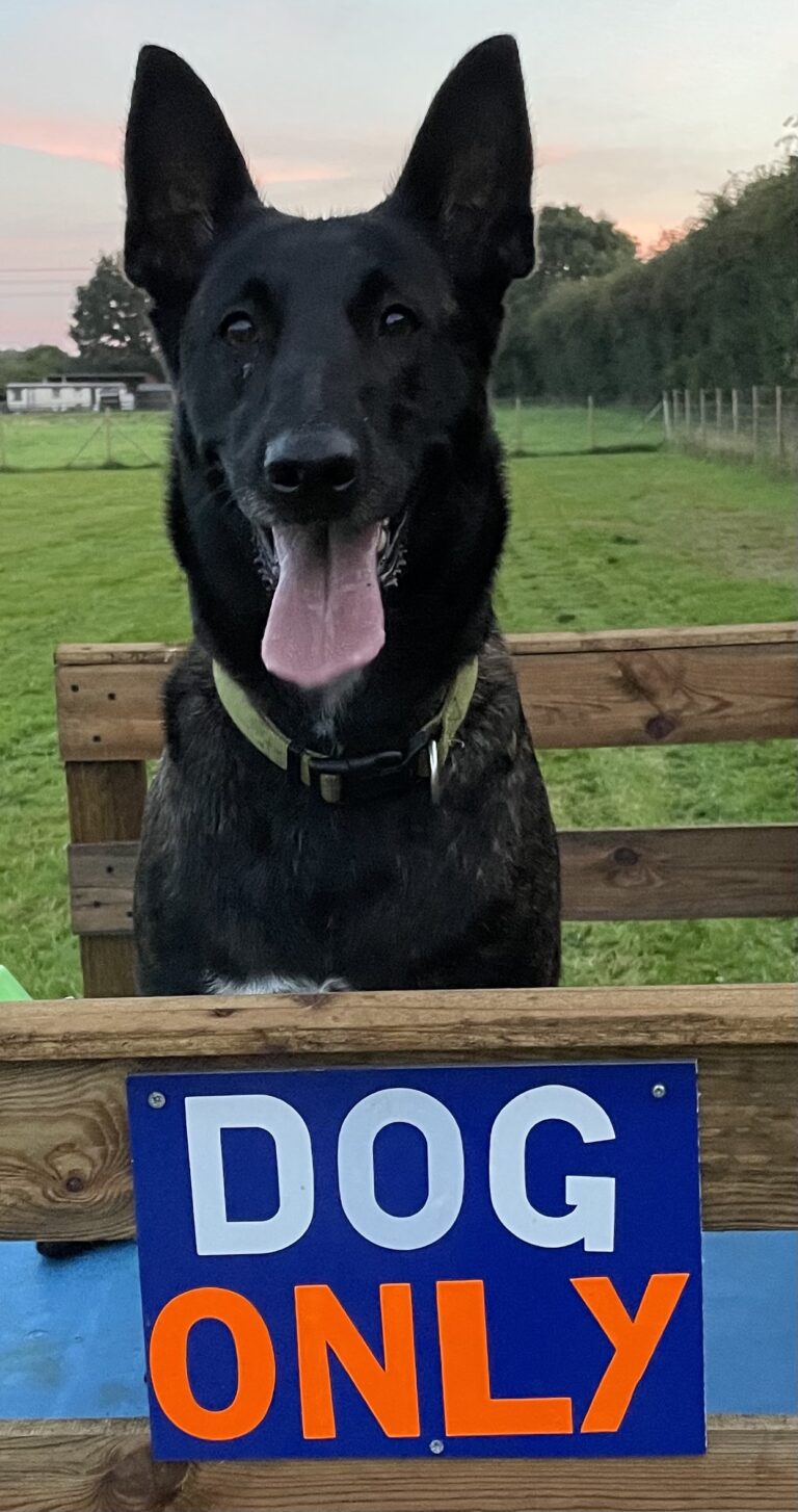 1798 1272ea783482fba657c0d35fd5a108fd 1 768x1454