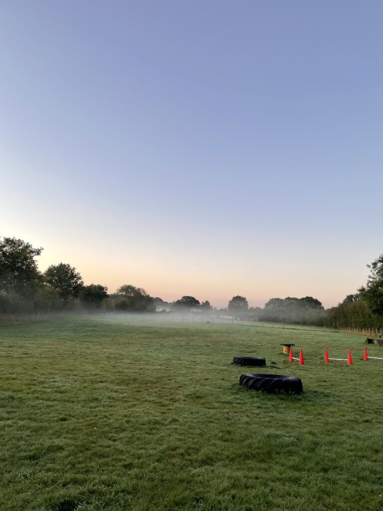 1798 1892d9c63ae453c7e45bb736d059091e 1 768x1024