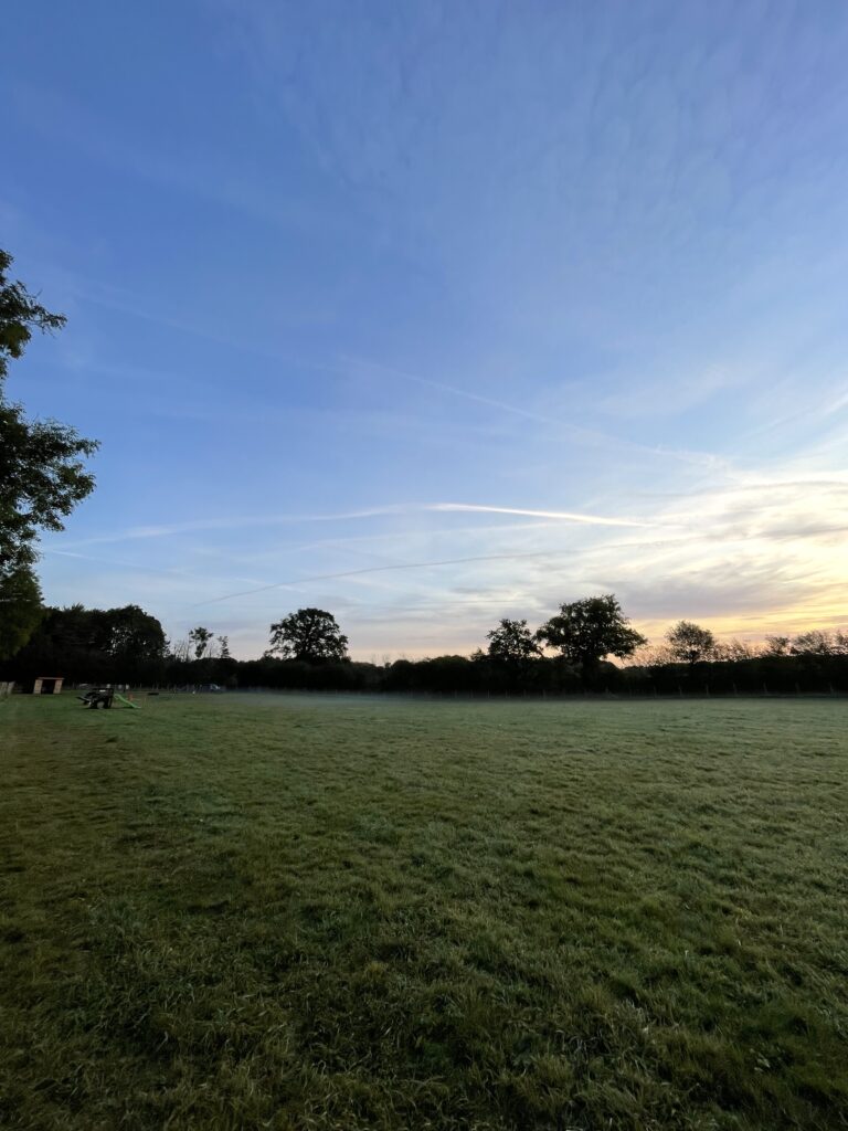 1798 4fb635016e210e473701d258569a654d 1 768x1024