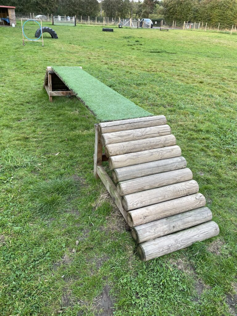 1798 5d0e65e40cd20449dff2f97a7a11c8be 1 768x1024