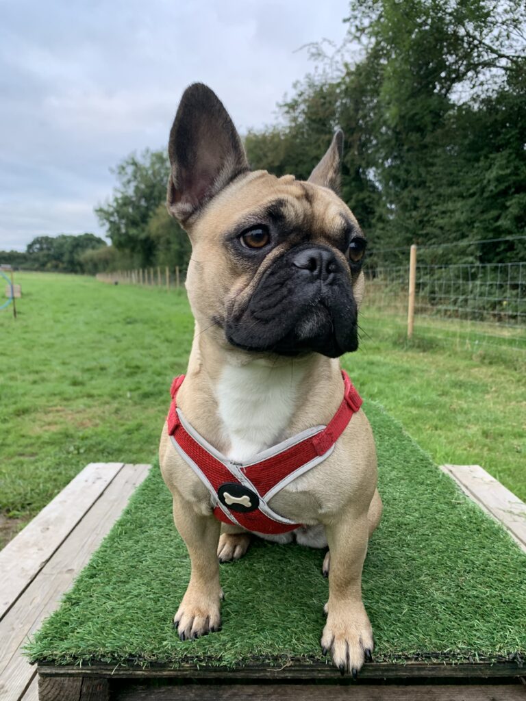 1798 84f13ec61ee52223b6b4f8629c924c91 1 768x1024