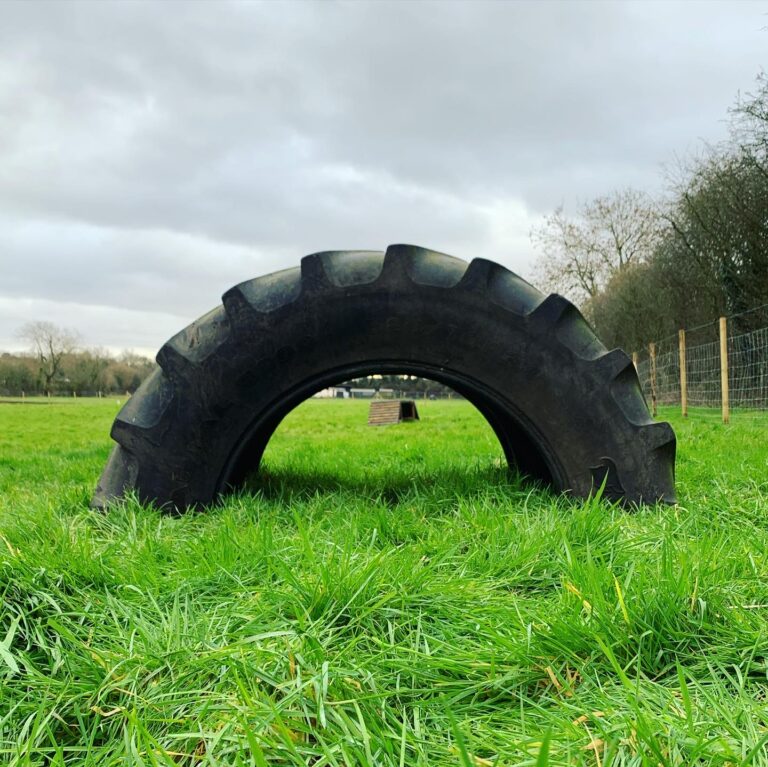 1798 8631ddf4d9248d1fb4758fd81221df6e 1 768x767