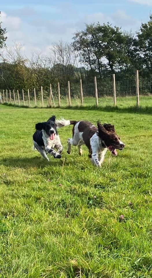 1798 8b61d89c23c7681e2b0159f80be5fb38 1