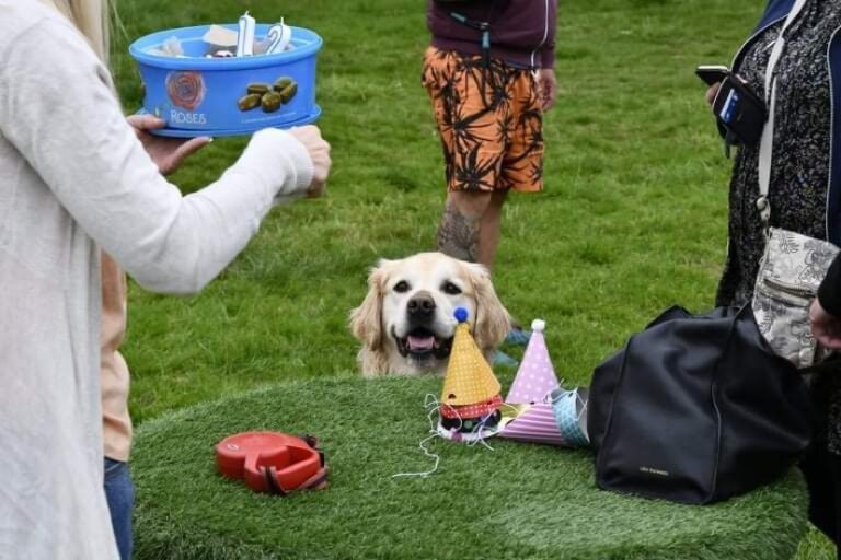 1798 a9256314052dccdaeeb9f29106940893 1 768x512