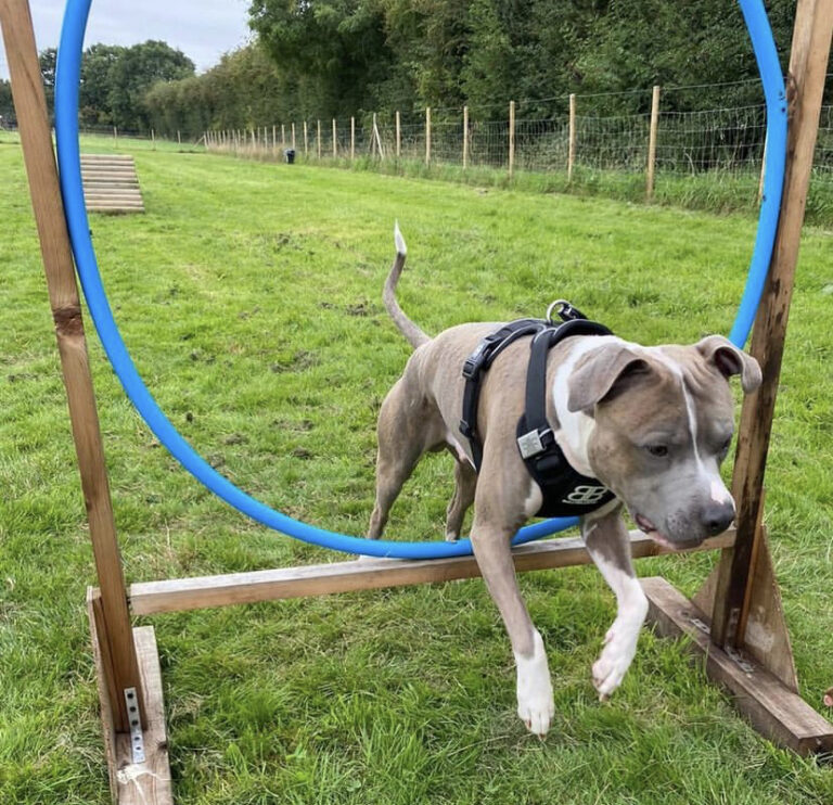 1798 ad6d83e1e4aab173ec9a5afa9f537a5e 1 768x742