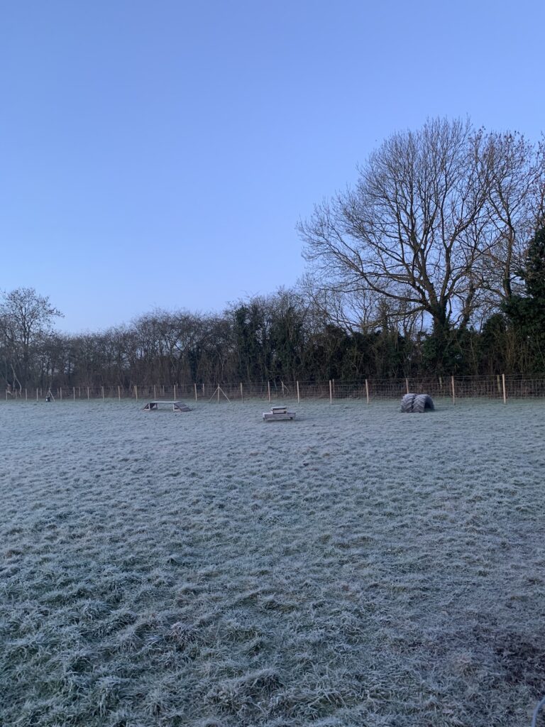 1798 d5d650e0a1c0ece6f4ce43ddf5915ce6 1 768x1024