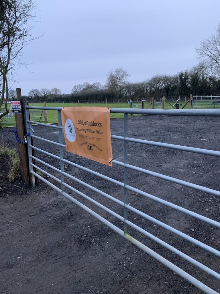 1798 dc9a91639115c893153e6df80ea98ffe 1 768x1025