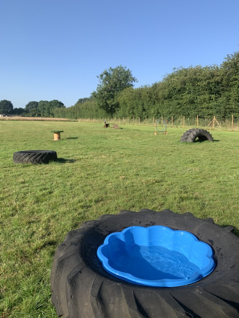 1798 fe859b04c18e6591daabaafadd97e4d8 1 768x1024