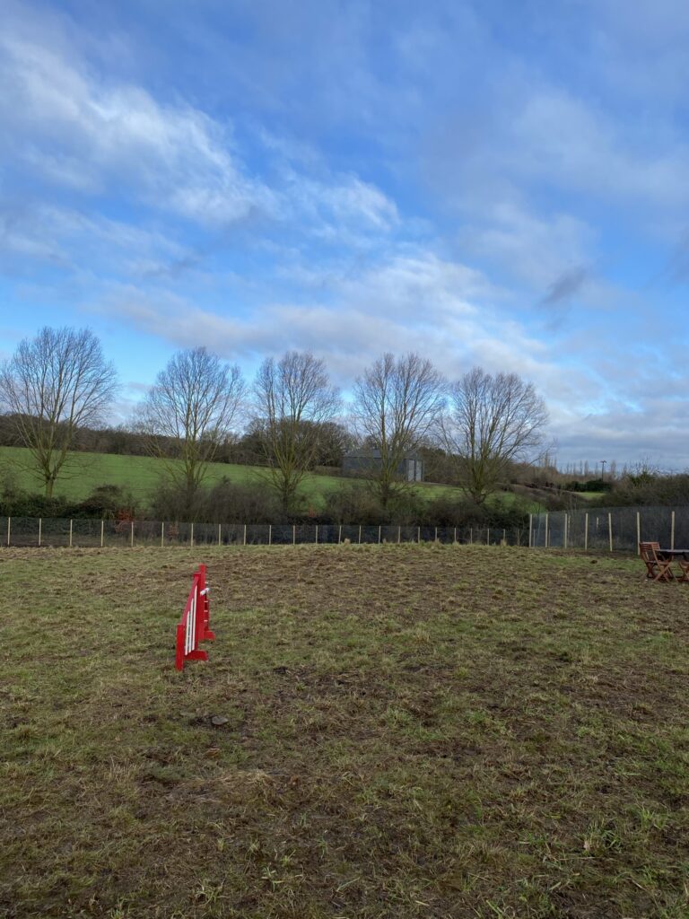 1804 30df6b1f6134d33b98c061d3db2884a4 1 768x1024