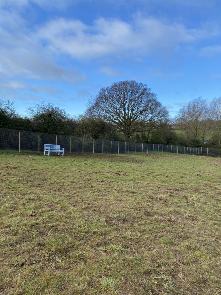 1804 a433abf301e5b32da1bb9d3757302307 1 768x1024